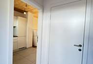 Modernes Einfamilienhaus mit Garten und Terrasse in Ruhelage – stilvolles Wohnen im 22. Bezirk