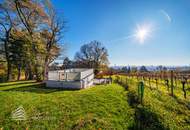 Wunderschöne 4 - Zimmer Wohnung mit Terrasse und Garten