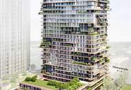 SILVESTER MIT FERNBLICK