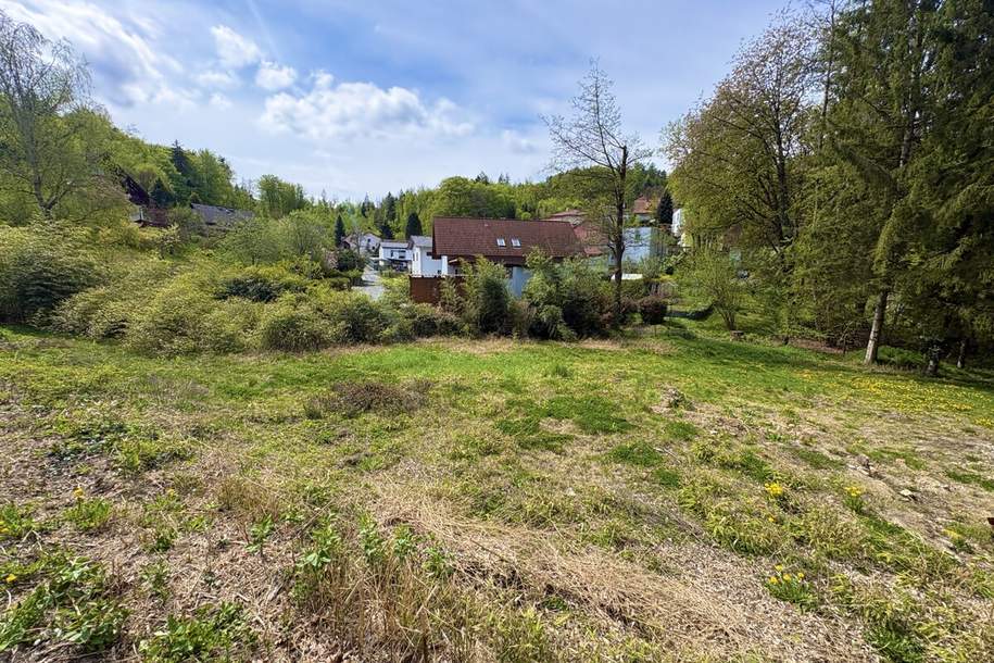 797 m² großes, ruhiges Grundstück - Stadtrandnähe, nur 10 Minuten vom LKH entfernt!, Grund und Boden-kauf, 195.500,€, 8047 Graz-Umgebung