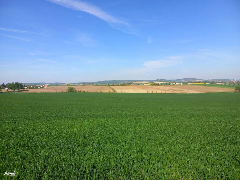 Traumhaftes Baugrundstück in Niederösterreich - Bauklasse II