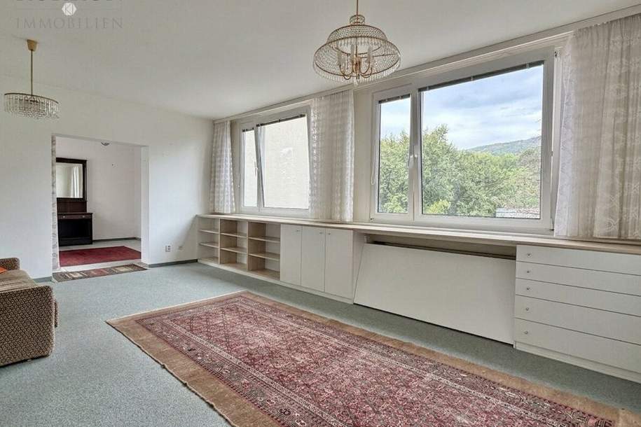 Jetzt zugreifen: ruhige 4 Zimmer-Wohnung mit Garage & Grünblick zum Top-Preis, Wohnung-kauf, 221.000,€, 2540 Baden