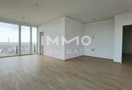 TOP-Ausblick: City mit Stephansdom, Donaukanal, Prater. Concierge, Party & BBQ Lounge, Pool usw.