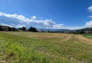 Perfekt für Bauträger: 9.242 m² großes Grundstück in St. Stefan