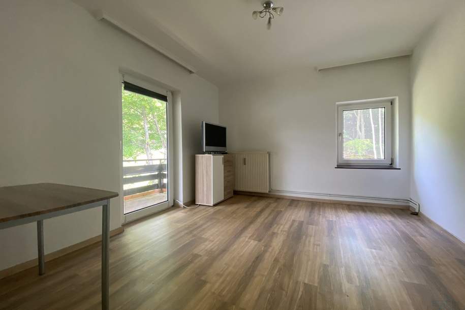Gemütliche 1-Zimmer Wohnung mit Balkon! Provisionsfrei für den Mieter!, Wohnung-miete, 563,99,€, 9220 Villach Land