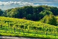 2-Zimmer Wohnung mit traumhaften Panoramablick inmitten der Weinberge von Klöch - Erstbezug!