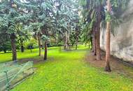 WOHNOASE MIT GRÜNBLICK UND WOHLFÜHLATMOSPHÄRE