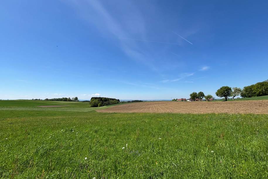 MIETEN oder KAUFEN, Haus-kauf, 230.000,€, 4794 Schärding