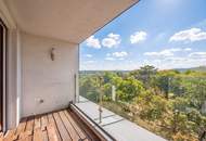 Über den Dächern von Schönbrunn – Maisonette mit Blick auf die Gloriette