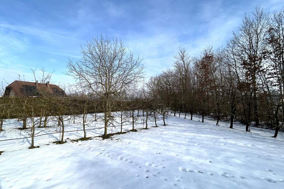 Baugrundstück ohne Bauverpflichtigung am Stadtrand von Eferding, Grund und Boden-kauf, 150.000,€, 4070 Eferding