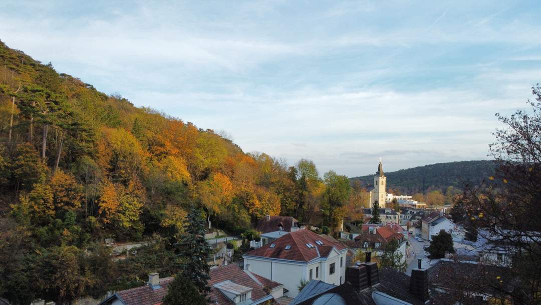 NATURLIEBHABER! Großer Baugrund in außergewöhnlicher Villen-Waldrandage am Rande des Lainzer Tiergartens! Naturschutzgebiet