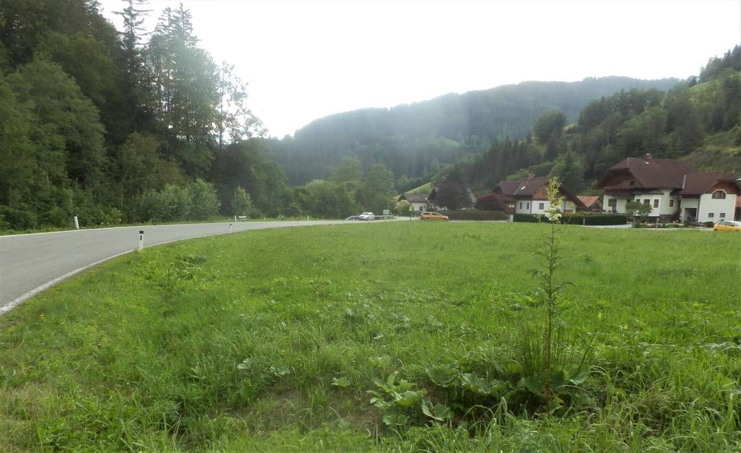 NEUBERG AN DER MÜRZ/KAPELLEN - GROSSZÜGIGER BAURECHTSGRUND