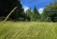 Landwirtschaftliche Fläche mit Waldgrundstück und Gebäude