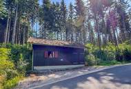 PERFEKTER HOBBY-WALD mit Arbeitshütte !