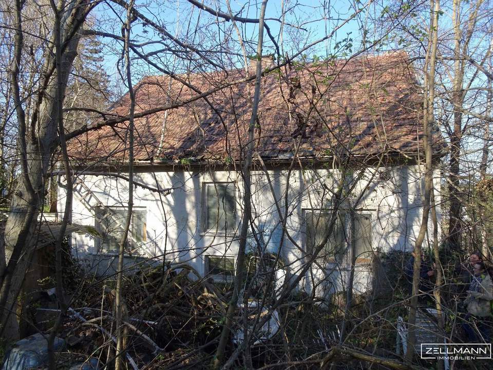 Baugrundstück im Weinviertel – Ruhe, Weitblick und Nähe zur Stadt | ZELLMANN IMMOBILIEN