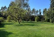 Einfamilienhaus am Stadtrand von Litschau beim Golfplatz