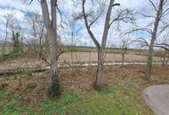 Einzigartiges Anwesen auf weitläufigem Parkgrundstück