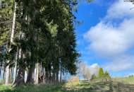 Landschaftsteich mit kleinem Waldanteil (Provisionsfrei)
