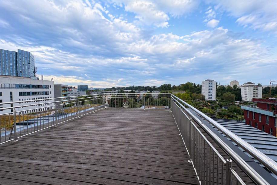 Erstbezug - Dachterrassenwohnung mit Fernblick über Linz - Garagenplätze !, Wohnung-kauf, 522.200,€, 4020 Linz(Stadt)