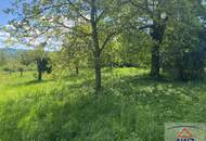 Hof in Ruhelage 2.460 m² Grund, ideal für Pferde- und Tierliebhaber