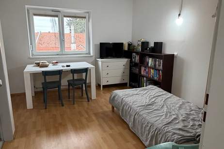 Charmantes 1-Zimmer-Apartment in Burgau (Provisionsfrei), Wohnung-miete, 300,50,€, 8291 Hartberg-Fürstenfeld