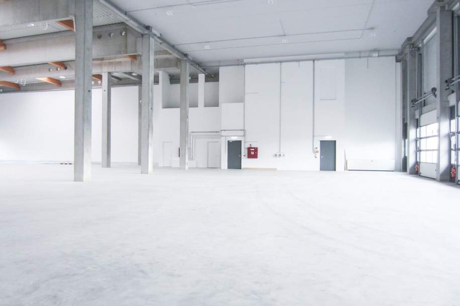 Lagerhalle 860 m2 + Büro 340 m2 Kombination südlich von Wien in Wr. Neudorf, Gewerbeobjekt-miete, 13.503,00,€, 1230 Wien 23., Liesing