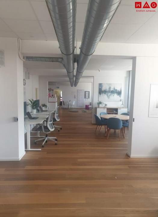 MARKT AM BINDERMICHL: 100 m² generalsanierte klimatisierte Büro-/Ordi-/Studiofläche mit bestem Preis-/Leistungsverhältnis - TEILBAR - verschiedenste Aus-/Umbaumöglichkeiten - flexible Grundrissgestaltung