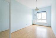 "Where the Alte Donau Becomes Home"