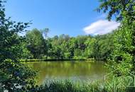 Naturparadies mit Fischteich, Fischerhütte und Wasserrechten - nahe Stadtschlaining