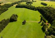Zum Verkauf steht ein zusammenhängendes Landwirtschafts- und Waldgrundstück mit Holzhaus