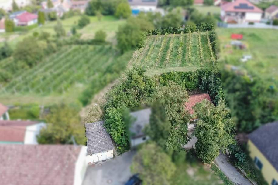 Weinkeller in Langenlois, Haus-kauf, 89.000,€, 3550 Krems(Land)