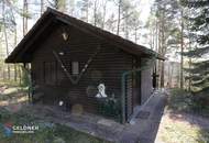 Vogelgezwitscher statt Straßenlärm!! Rarität!! Waldhäuschen zu mieten, sehr ruhig gelegen 1 Zimmer, Bad, WC kleine Küche in Oberpullendorf