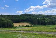 Die eigene Ranch auf 9,2ha Grund und Wald verwirklichen (Provisionsfrei)