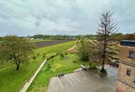 Neu sanierte 3-Zimmer-Wohnung in historischer Hülle