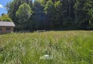 Baugrundstück mit großem Garten