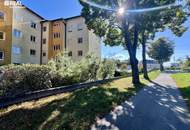 Familienhit - charmante 4 Zimmer-Wohnung in Ruhelage