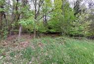 Wald und Wiese mit Hütte