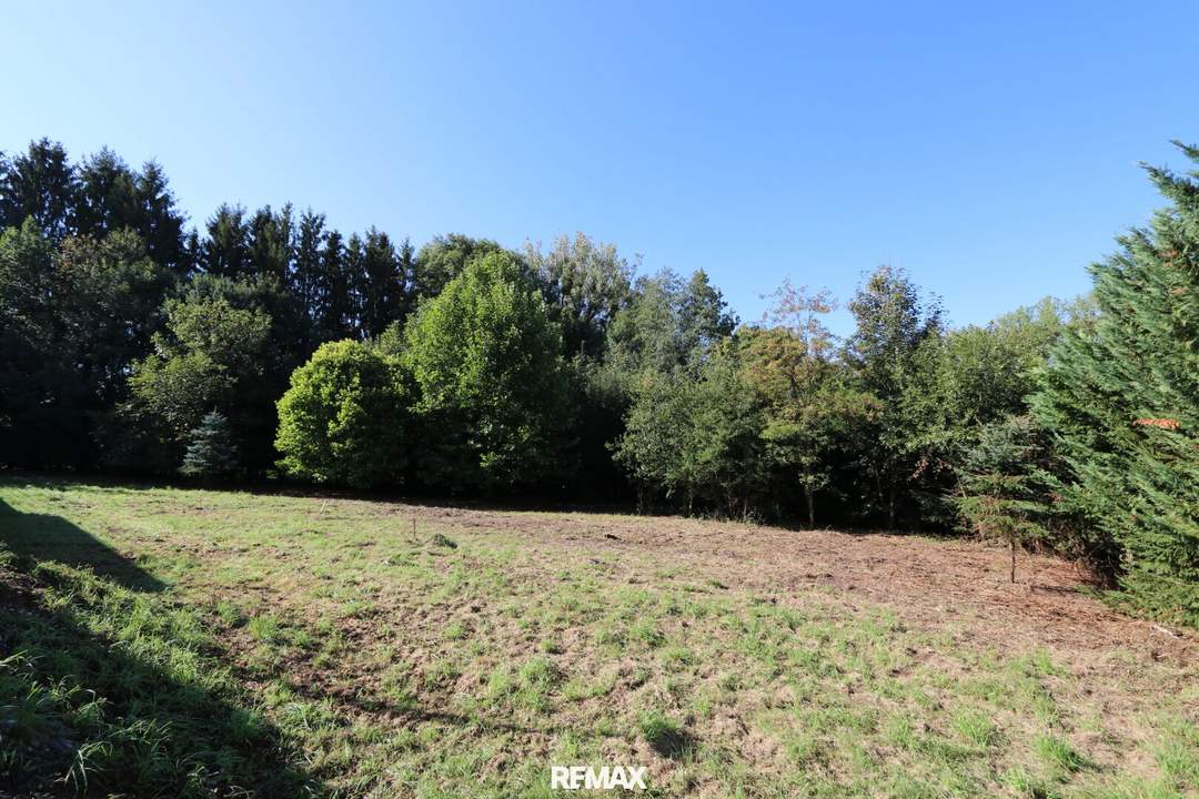 Vom Traum zum Zuhause – 821 m² Lebensfreude in Steinhaus - Grundstück mit vielen Möglichkeiten