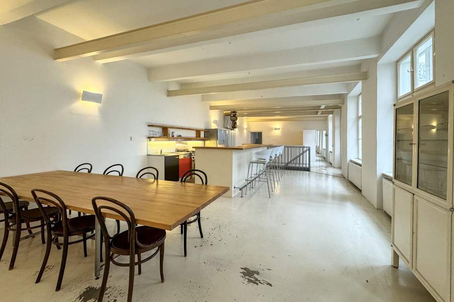LOFT MIT GRÜNEM HOF IN BESTER LAGE - 212 m² Nutzfläche, Wohnung-kauf, 940.000,€, 1150 Wien 15., Rudolfsheim-Fünfhaus