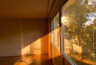 1 Zimmer Wohnung am Doblhofpark