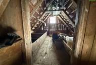 SANIERUNG 2025: Geräumiges Einfamilienhaus mit angeschlossener Kleinlandwirtschaft (Neben- und Stallgebäude) mit ca. 2.700 m² Grund