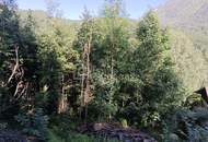 Ihr Grundstück in Hanglage mit absolutem Grünblick