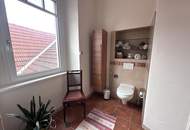 Historische Altbauvilla trifft auf modernen Luxus – Ihre private Residenz an der Leitha!