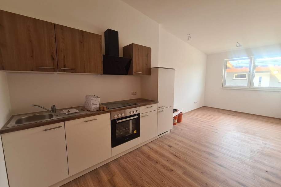 Neues Wohnkapitel in Oberweis – Dachgeschoss, Erstbezug!, Wohnung-miete, 495,00,€, 4663 Gmunden