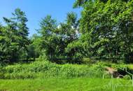 Naturparadies mit Fischteich, Fischerhütte und Wasserrechten - nahe Stadtschlaining