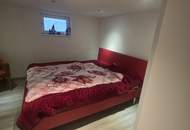 Großzügiges Haus mit 3 Wohneinheiten &amp; Bergblick in Saalfelden