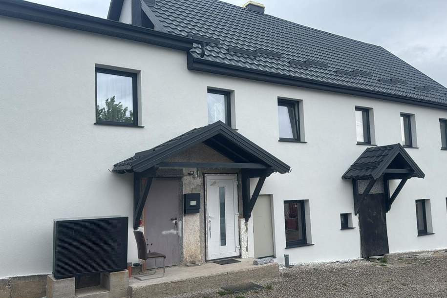 Mehrfamilienhaus in Toplage von Enns nahe dem Fluss, Haus-kauf, 460.000,€, 4470 Linz-Land