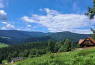außergewöhnliche Lage auf der Hebalm - Grund an höchster Stelle (Provisionsfrei)