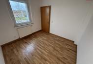 Außergewöhnliche 4-Zimmer-Familienwohnung in idyllischer Grünlage: im letzten Stockwerk mit Weitblick, durchdachter Raumaufteilung und unschlagbarem Preis!