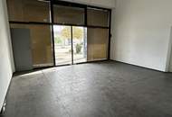 PRAXIS / FITNESS / BÜRO in den Parkvillen von Viktring